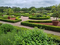 IMG_20250623_133553