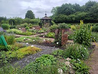 IMG_20250623_133248