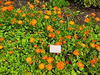 IMG_20250623_133039