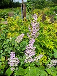 IMG_20250623_133010