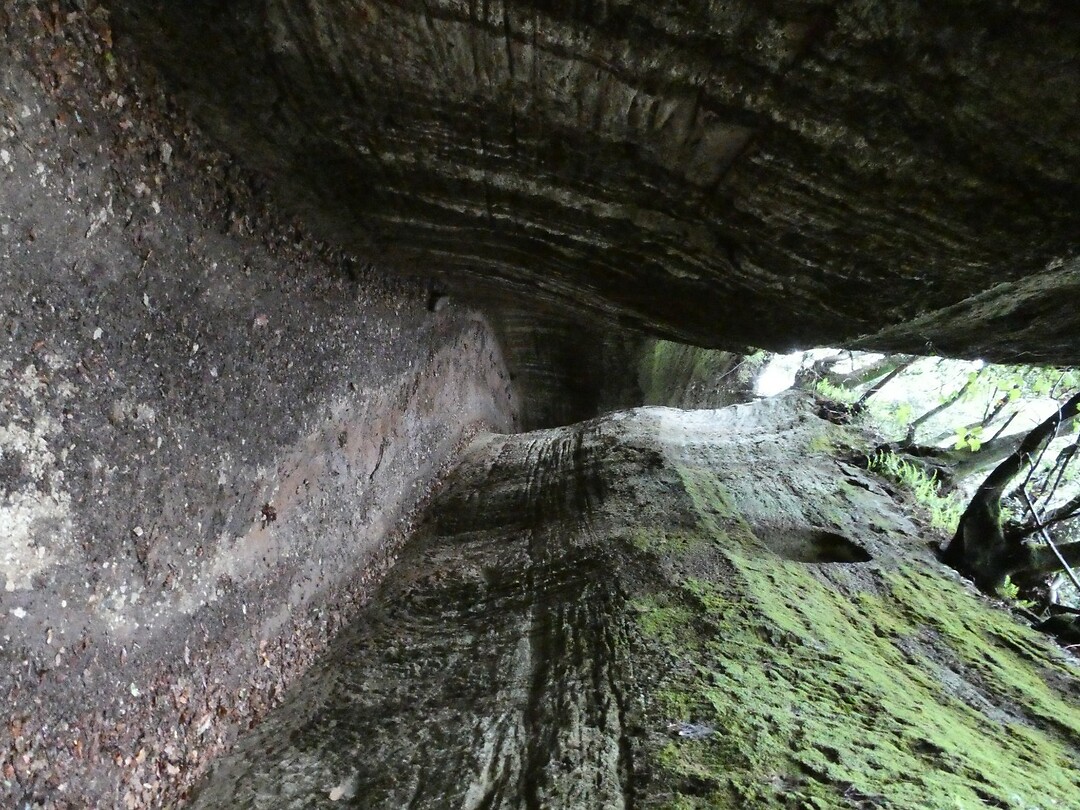 P1000274