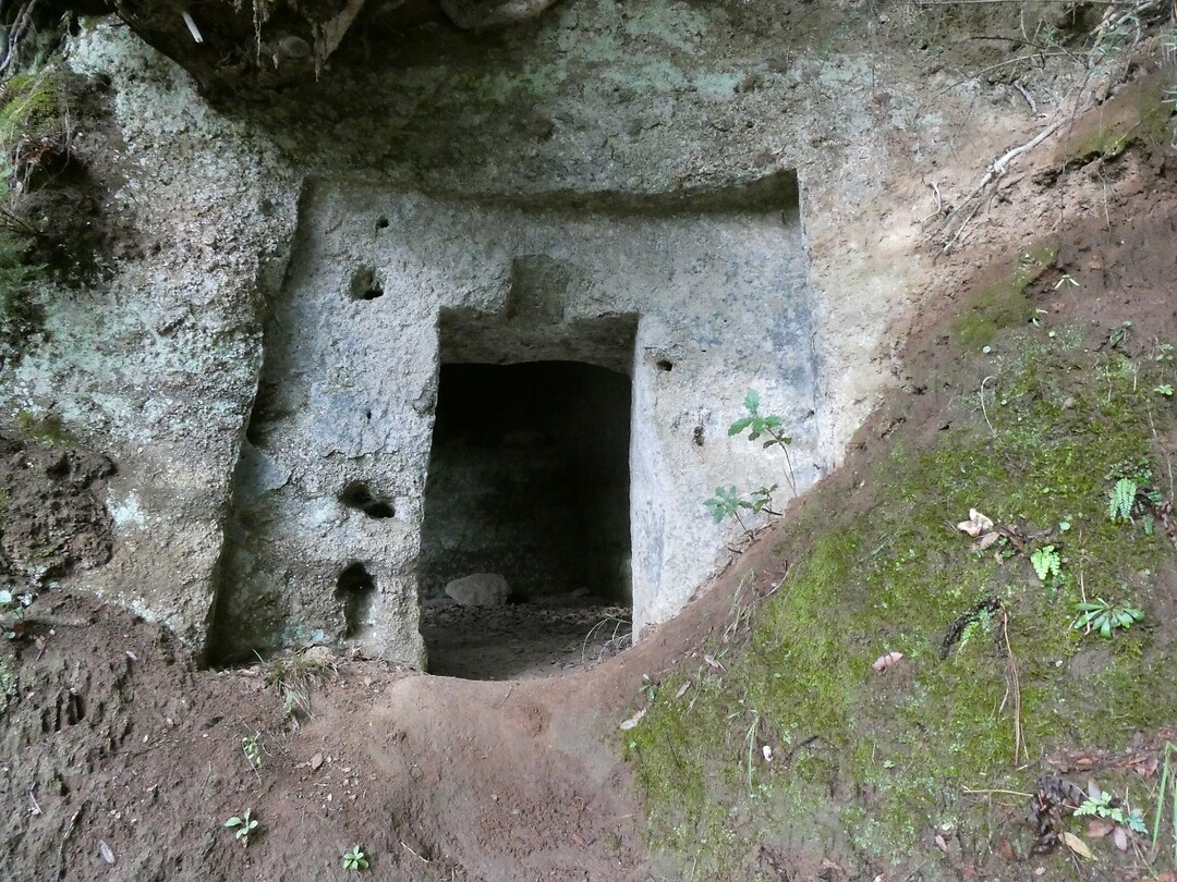 P1000280
