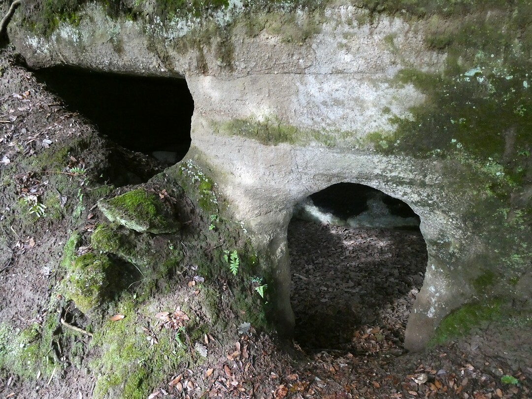 P1000281