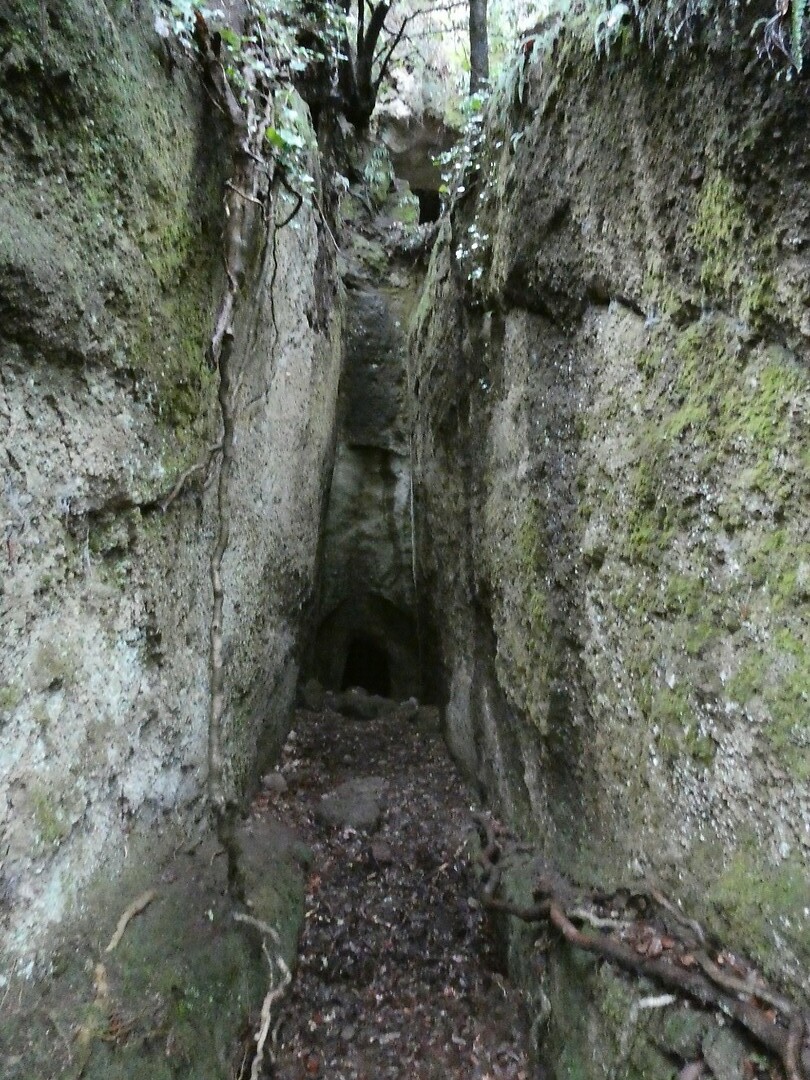 P1000285