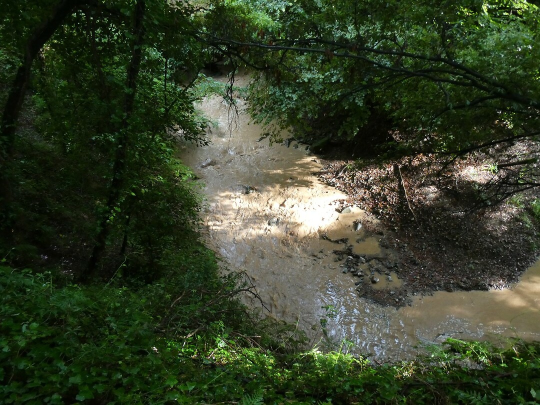 P1000288