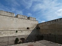 P1000554