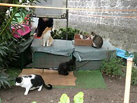 P1003970