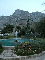 P1004034