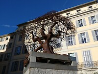 P1004906