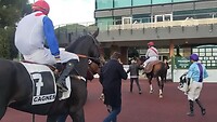 Renpaarden en jockeys