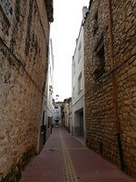 P1005445