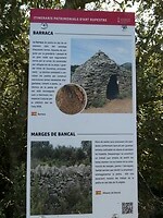 P1005487
