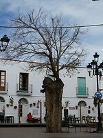 P1006114