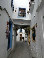 P1006117