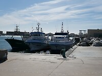 P1006315
