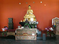 P1006578