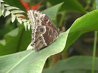 P1006587
