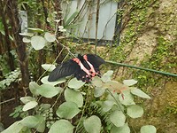 P1006588