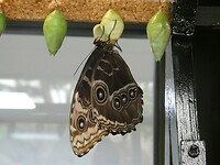 P1006590