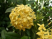 P1006591
