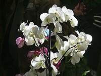 P1006592