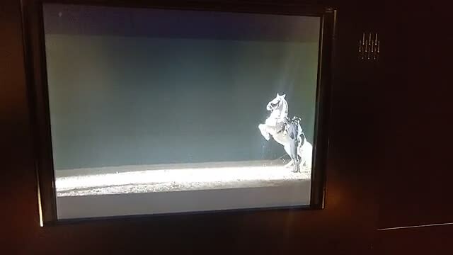 Springende paarden op beeld in museum