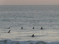 Surfers in de zee bij Vejer de la Frontera