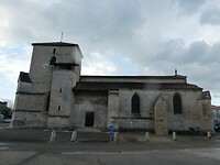 P1007646