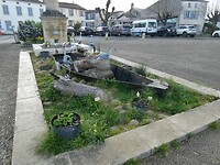 P1007647