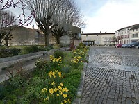 P1007649