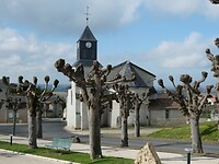P1007668