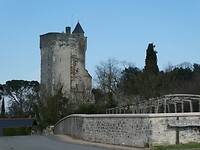 P1007669