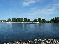 P1007775
