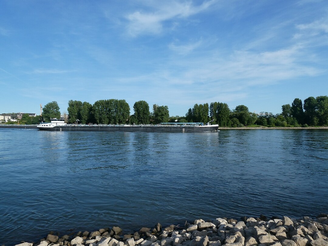 De Rijn bij Keulen