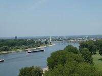 P1007822