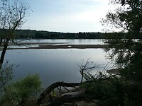 P1007885