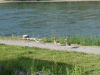 P1007940