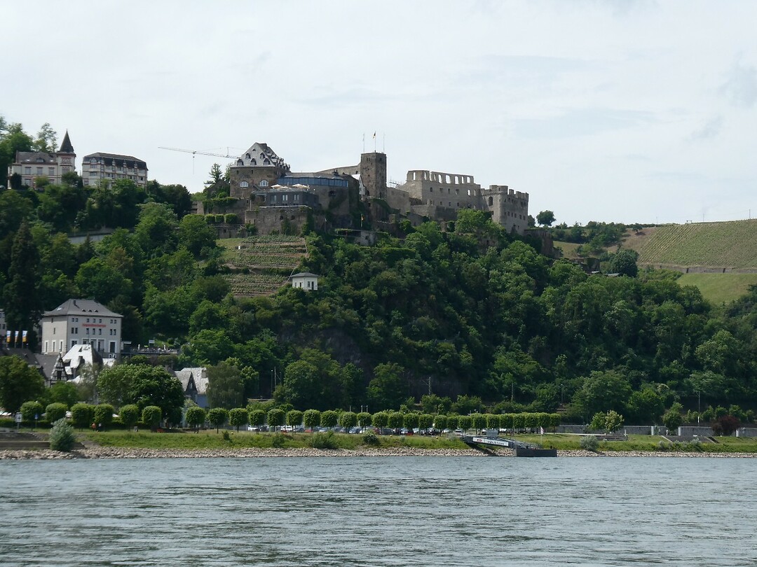P1007946