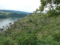 P1007963