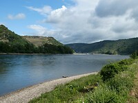 P1007996