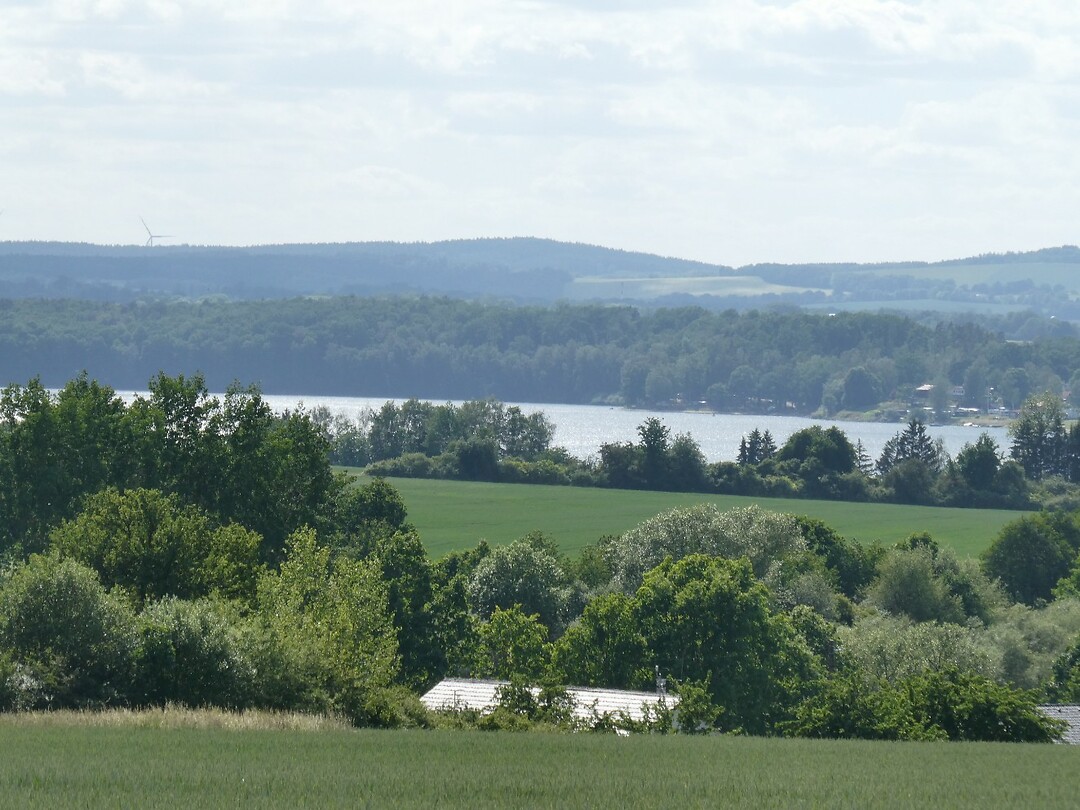P1008185