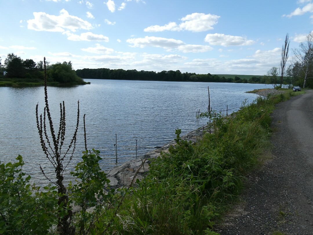 P1008191
