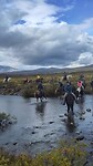 Muskusossensafari te paard
