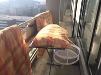IMG_0506[1]