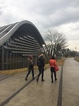 IMG_0582