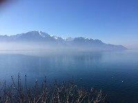 mist boven het meer