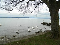Neuchâtel