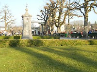 in het gras
