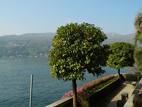 Isola Madre