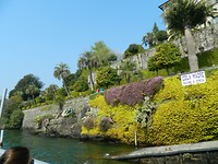Isola Madre